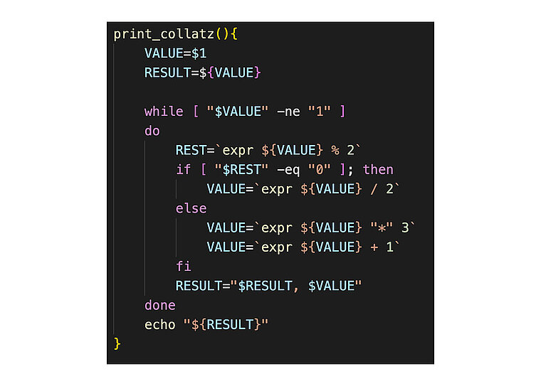 ZSH Script ZSH Script